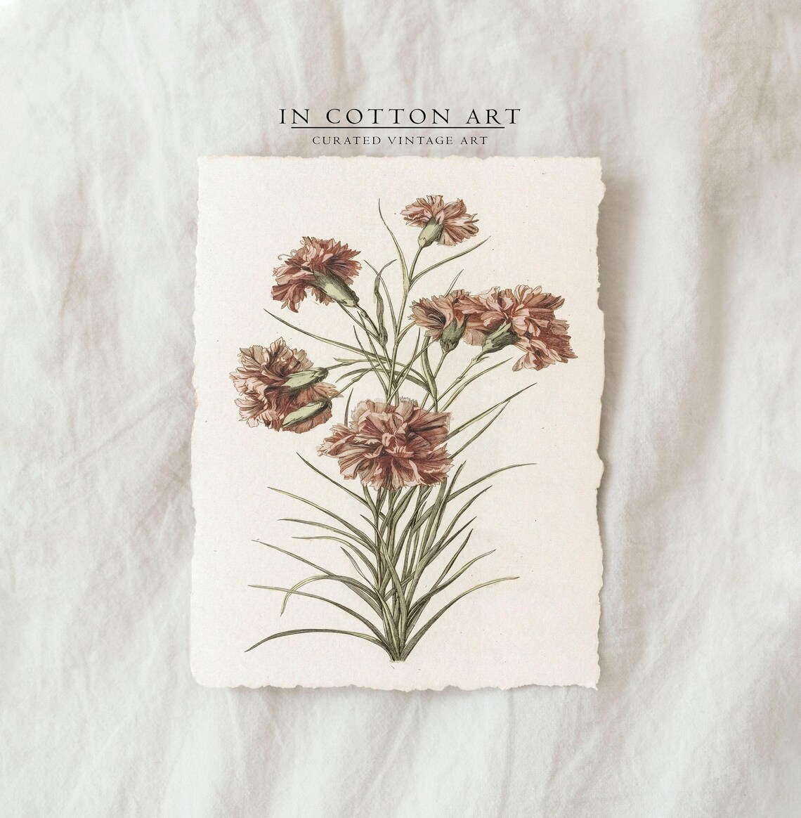 Vintage Floral Botanical Illustration, Farmhouse Poster