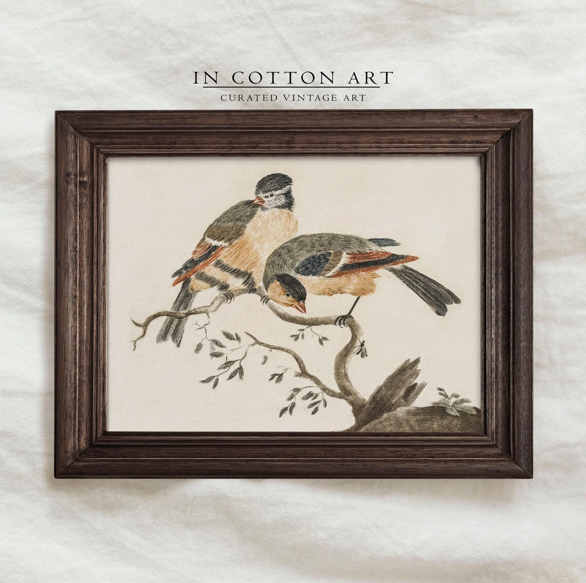 Vintage Bird Nursery Art Print, Antique Farmhouse - Image 3