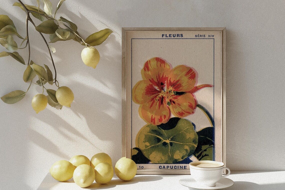 Vintage Capucine Flower Botanical Illustration Print - Image 3