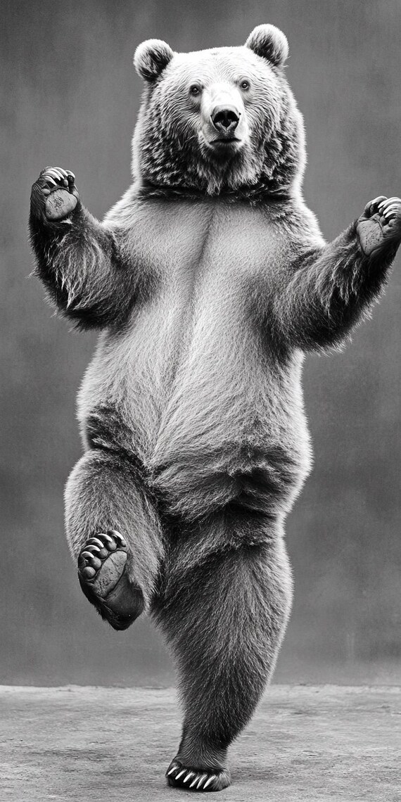 Dancing Bear Humorous Animal Print, Bear Decor