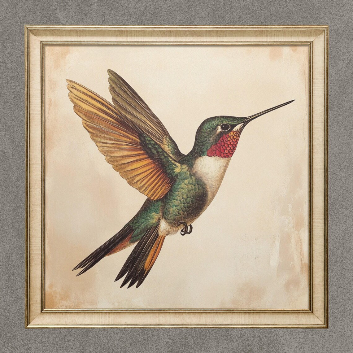 Vintage Hummingbird Art Print, Antique Bird Illustration