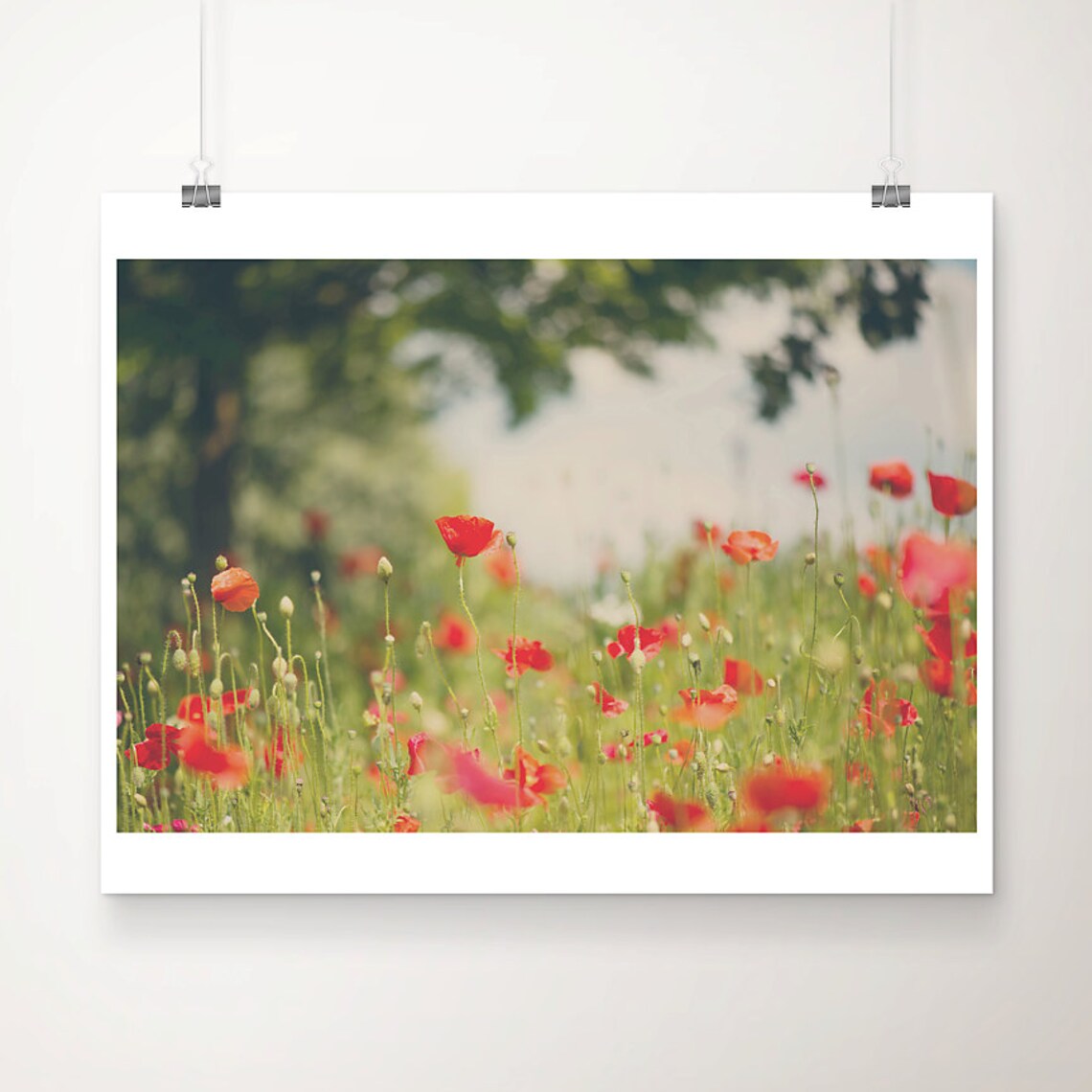 Red Poppy Field Photograph Dreamy Bokeh Botanical Flower Poster
