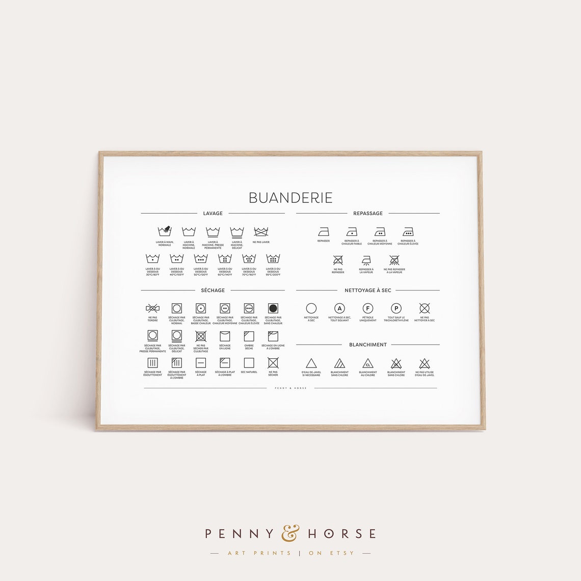 French Buanderie Laundry Guide Wash Iron Dry Care Symbols Wall Poster