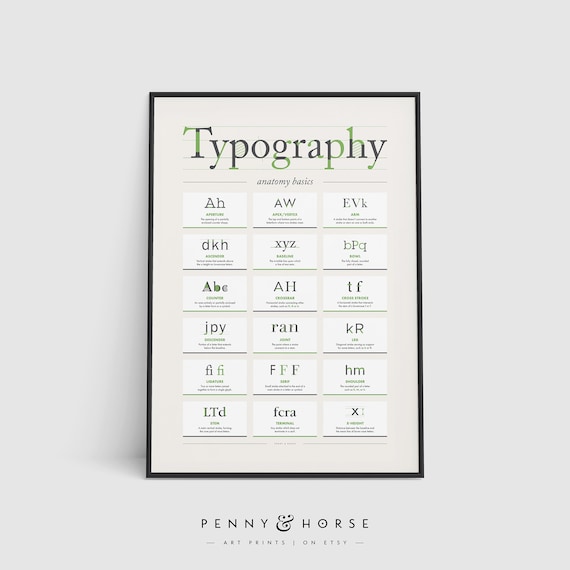 Typography Anatomy Basics Art Print, Type Design Poster