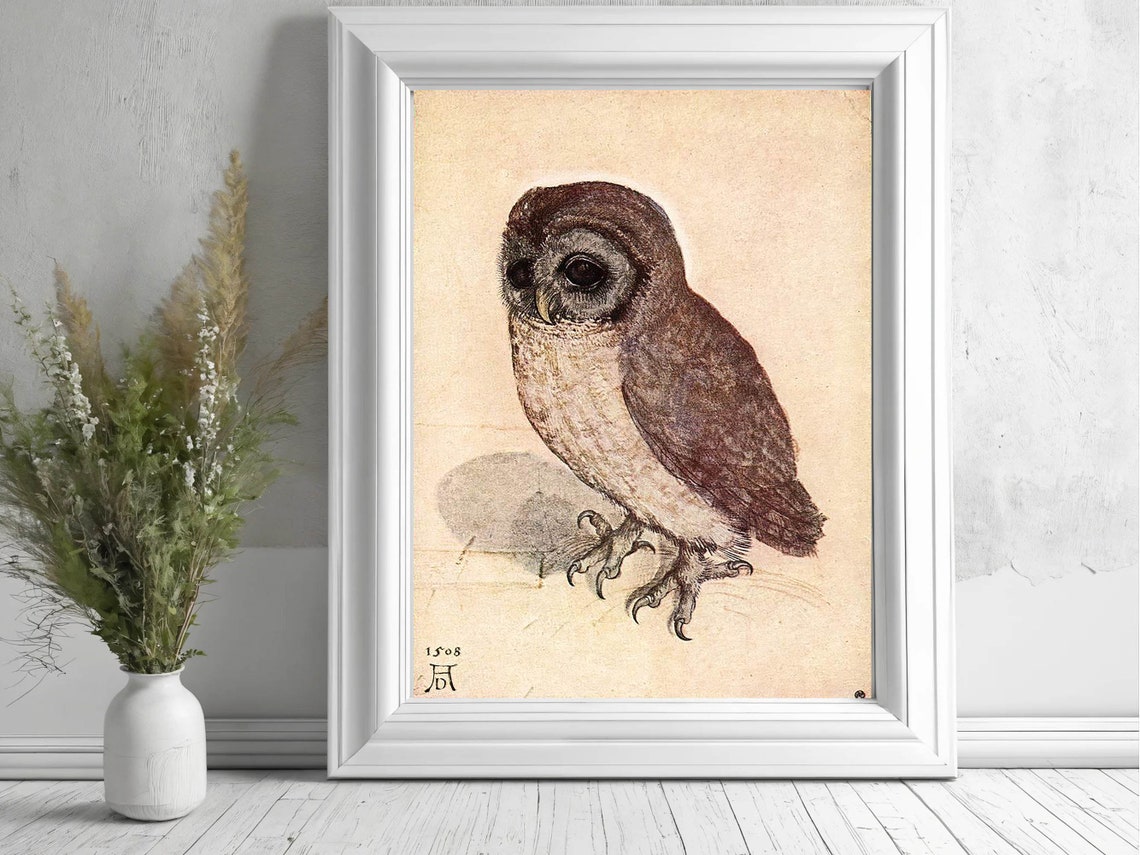 Albrecht Durer Little Owl 1508 Drawing Renaissance Vintage Print - Image 4