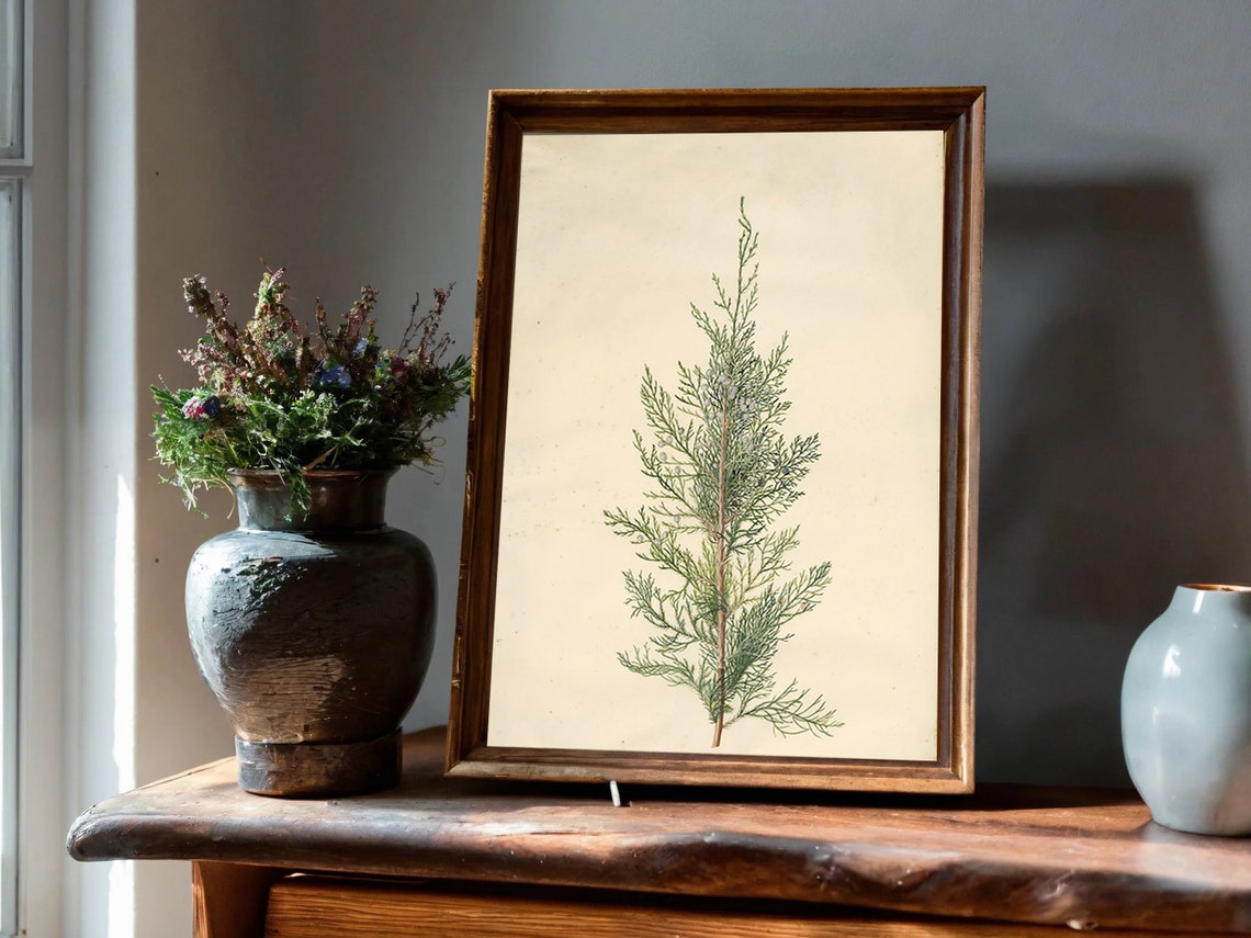Vintage Cypress Sprig Botanical Study Cream Herbarium Art Poster - Image 2