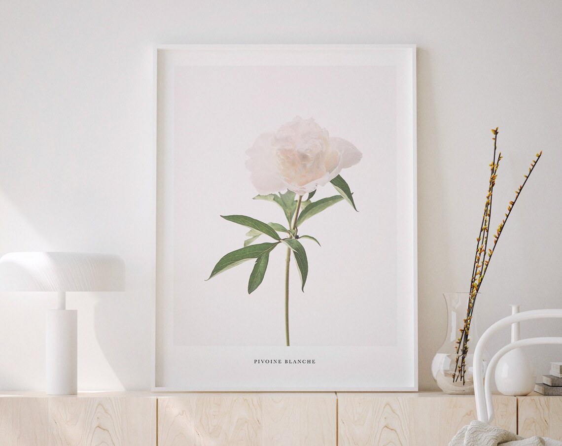 Peony Print, Minimal Botanical Art Print