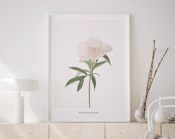 Peony Print, Minimal Botanical Art Print