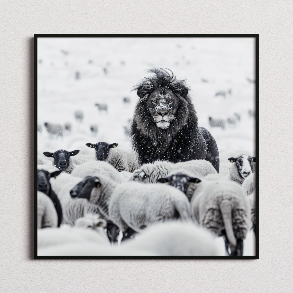 Lion Among Sheep, Black and White Art Print