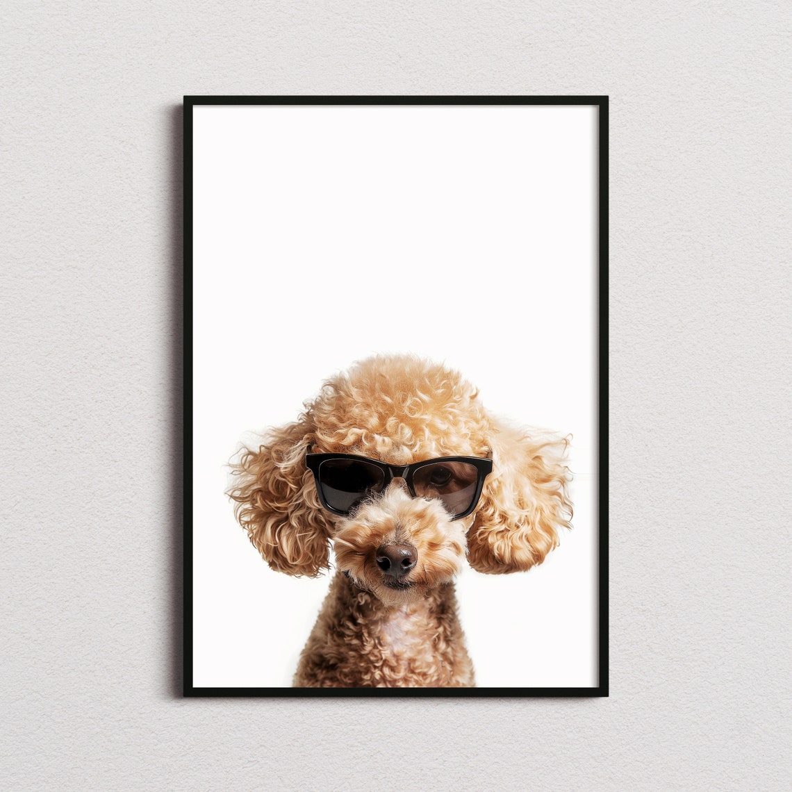Poodle Dog In Sunglasses Curly Chic Minimalist White Photo Poster