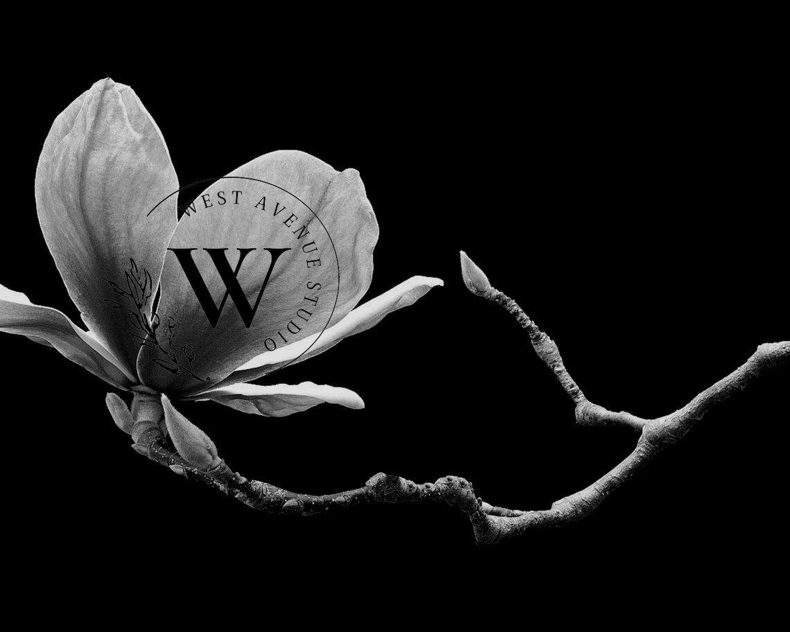 Black and White Magnolia Blossom Branch Moody Botanical Photo Poster - Image 2