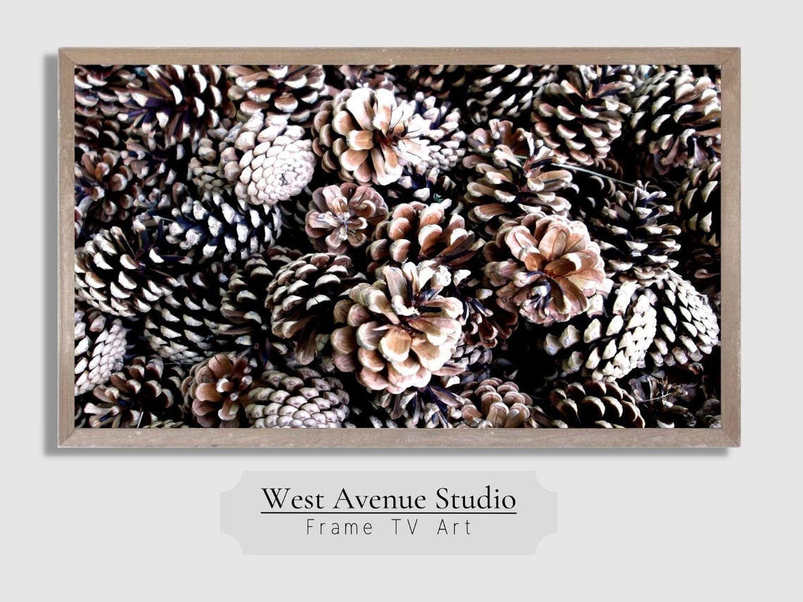 Pine Cone Close Up Textured Winter Nature Photography Wall Poster
