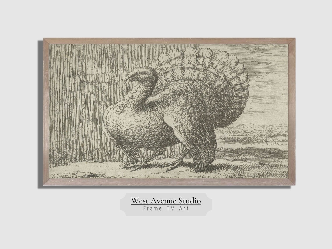 Vintage Turkey Engraving Thanksgiving Sketch Farm Bird Artwork Poster