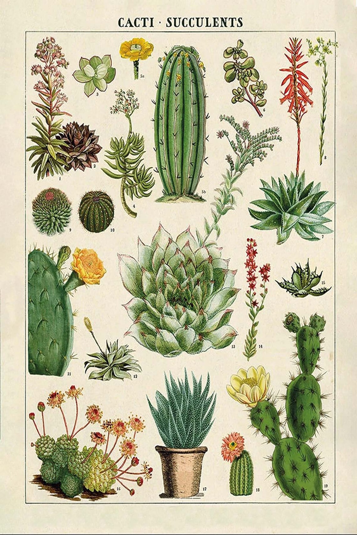 Cactus Minimalist Decor Tapestry Wall Hanging Art - Image 3