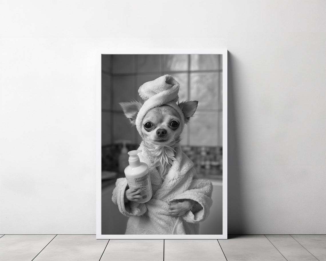 Chihuahua Spa Day in Bathrobe and Towel Turban Funny Bathroom Poster - Image 3