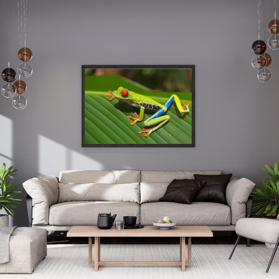 Tree Frog Close Up Photography, Kids Room Decor - Image 6