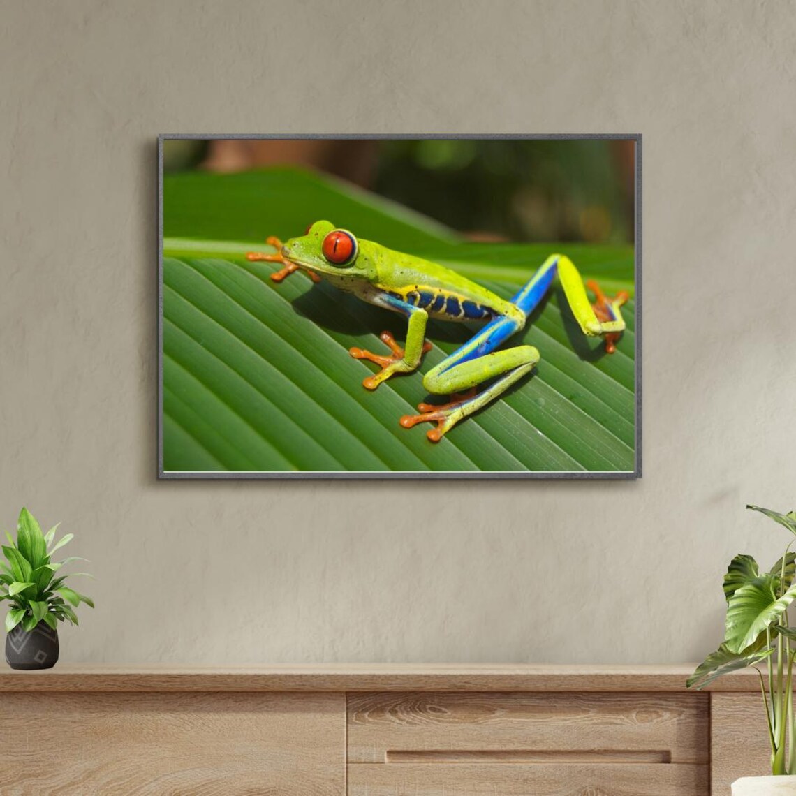 Tree Frog Close Up Photography, Kids Room Decor - Image 3