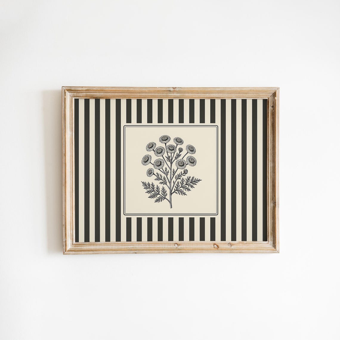 Vintage Daisy Botanical Engraving Striped Antique Flower Poster