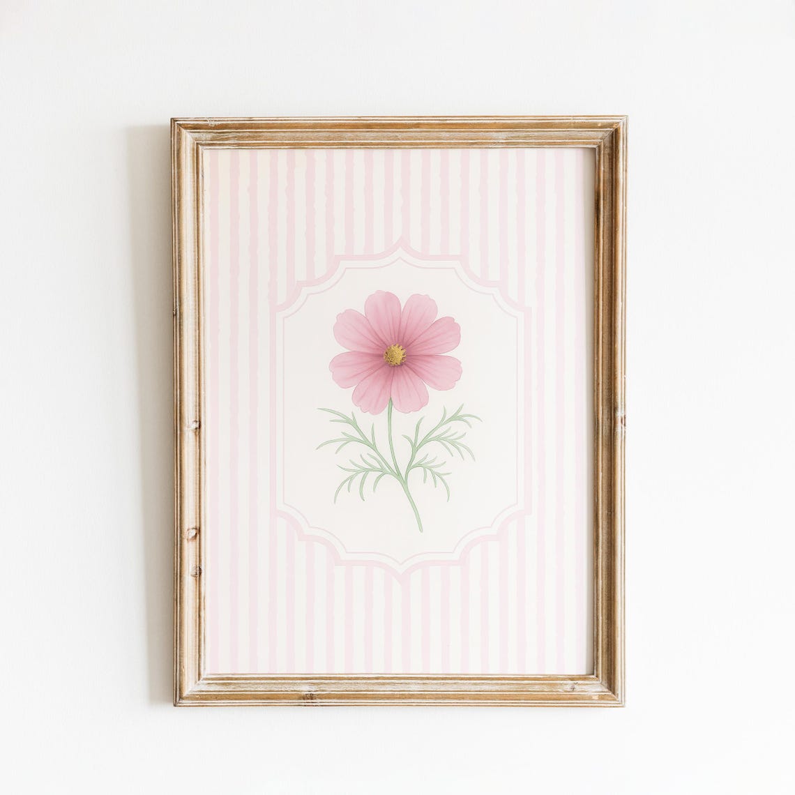 Pink Cosmos Flower Golden Center Pink Stripe Botanical Wall Art