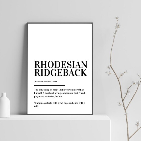 Rhodesian Ridgeback Definition Print Poster