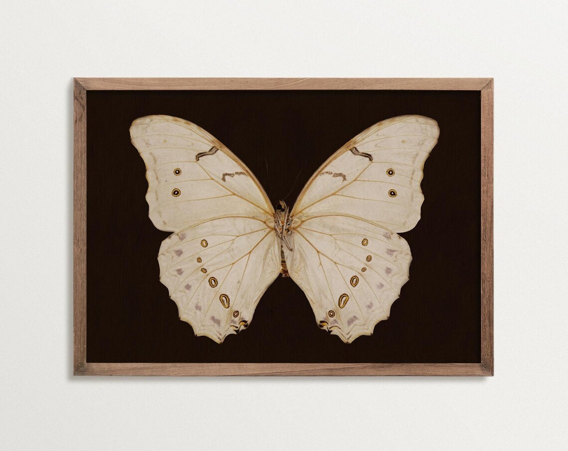 Dark Academia Butterfly Art Print