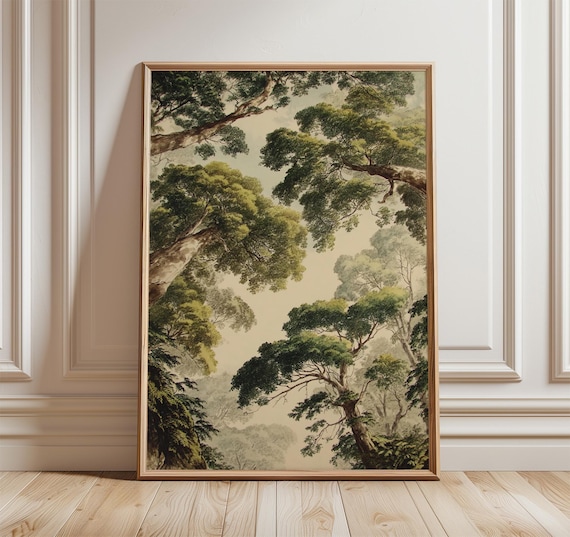 Looking Up Through Towering Forest Trees Vintage Nature Wall Art