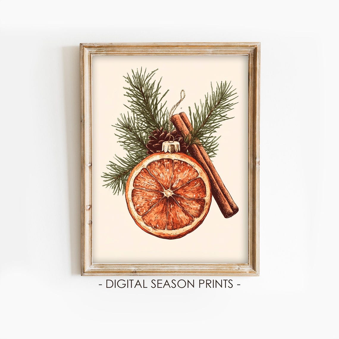 Dried Orange Slice Cinnamon Botanical Christmas Illustration Print