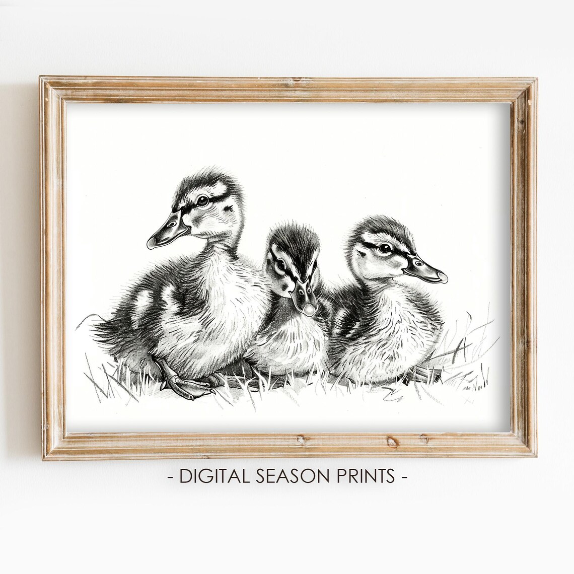 Baby Ducklings Pencil Sketch Nursery Farm Animal Drawing Art Print