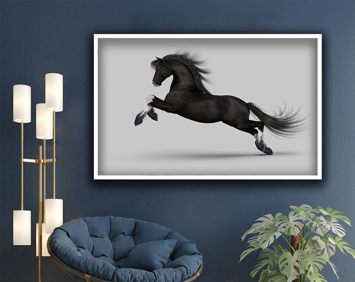 Noble Black Horse Prancing White Background Elegant Animal Wall Art