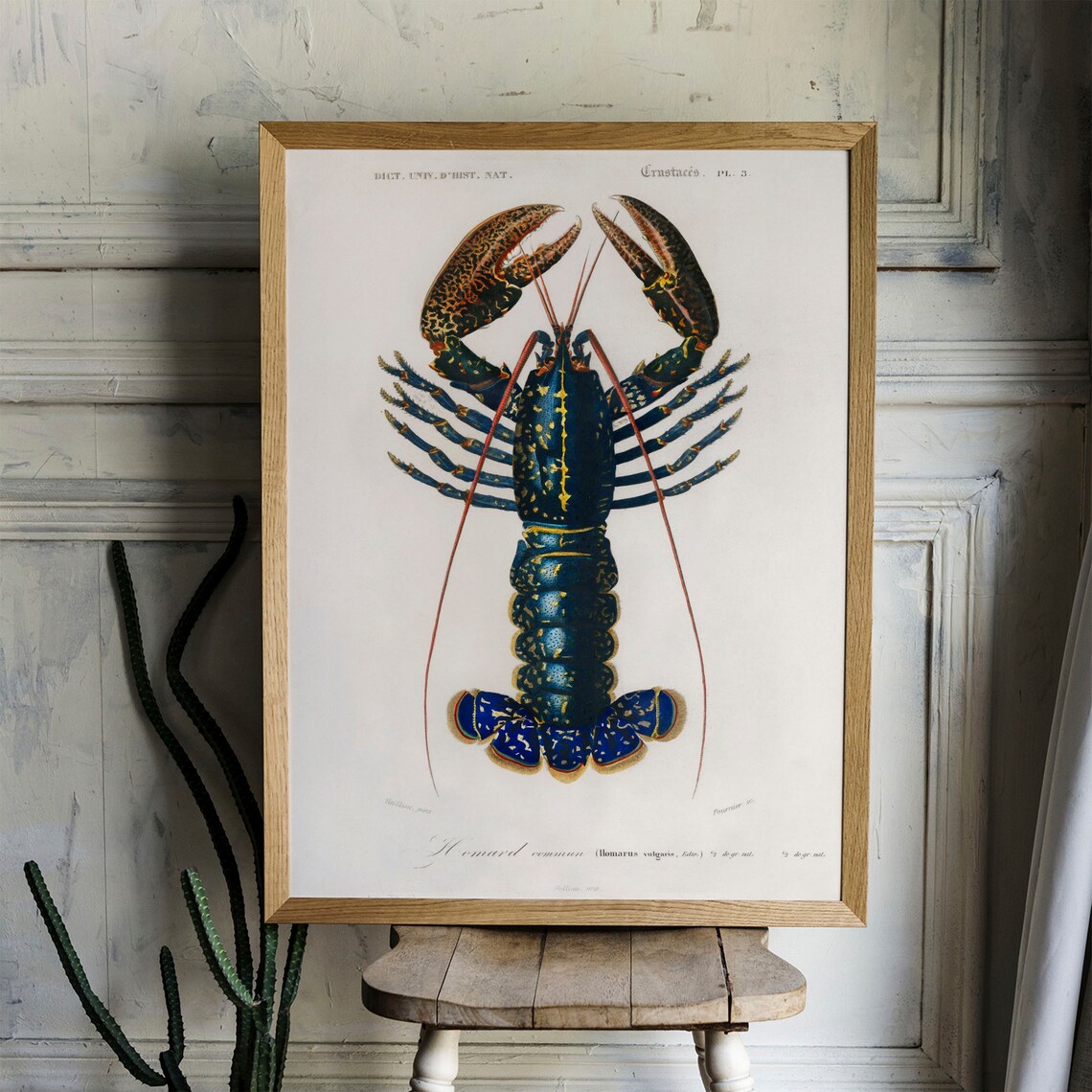 Crawfish Antique Print Illustration, Vintage Fish Poster - Image 4