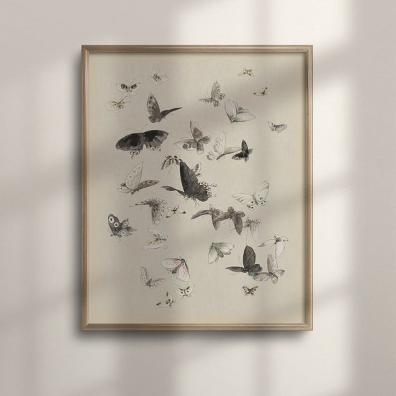 Vintage Butterfly Art Farmhouse Wall Decor Country Nursery Girls Room Decor Neutral Minimalist Painting Renaissance Inspired C16 780