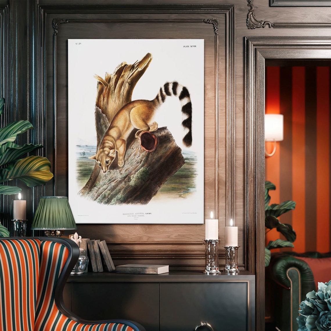 Ringtail Cat Vintage Audubon Style Animal Illustration Poster - Image 4
