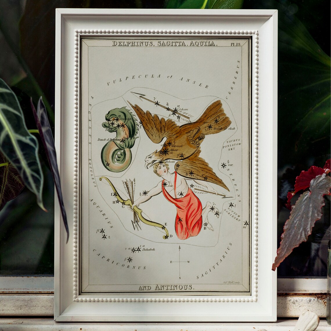 Antinous Vintage Zodiac Art Print, Horoscope Poster - Image 2