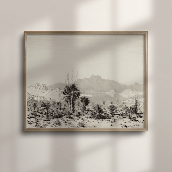 Vintage Yucca Cactus Desert Landscape Art Print