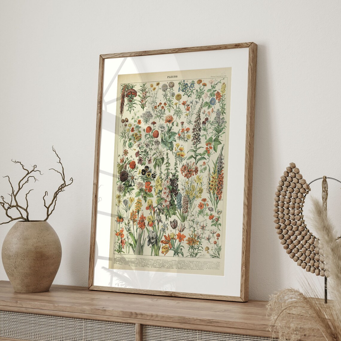 Adolphe Millot 1909 Vintage Flower Poster, Botanical Art - Image 4