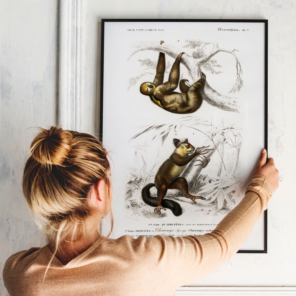 Sloth Antique Animal Painting Vintage Drawing Art Print - Image 3