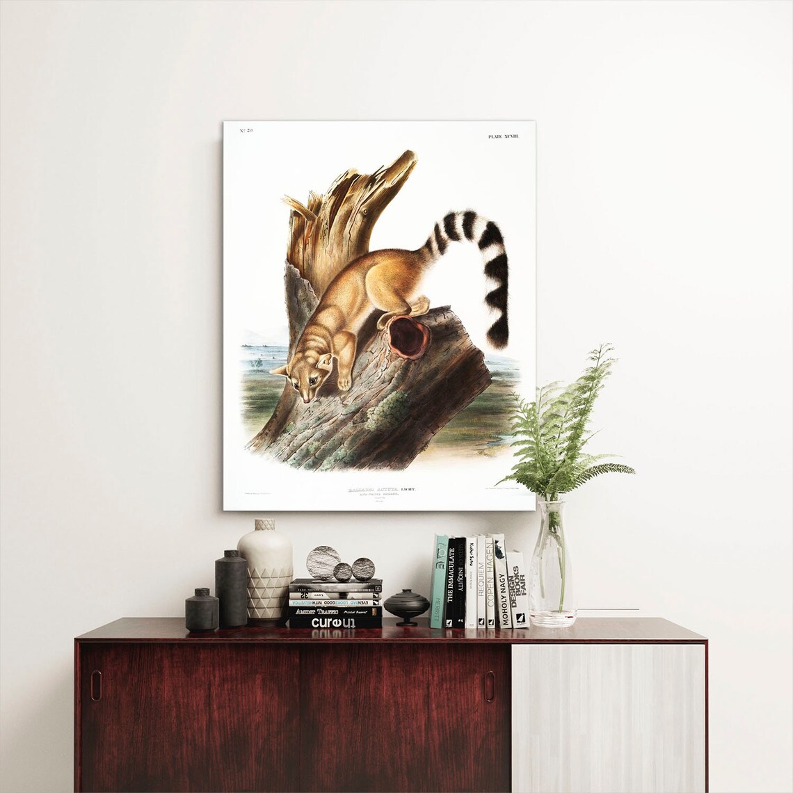 Ringtail Cat Vintage Audubon Style Animal Illustration Poster