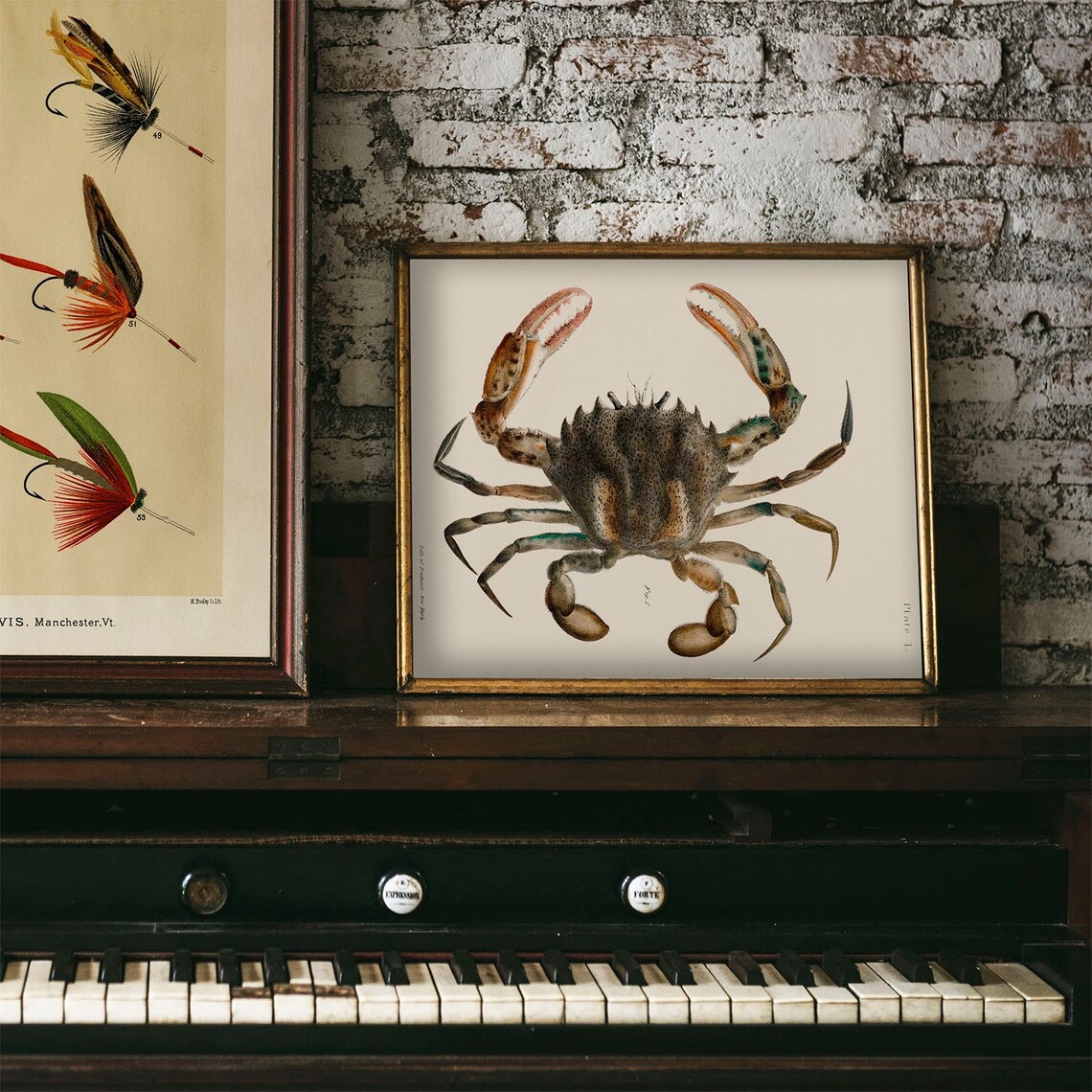 Vintage Crab Illustration Art Print, Fishing Decor - Image 4