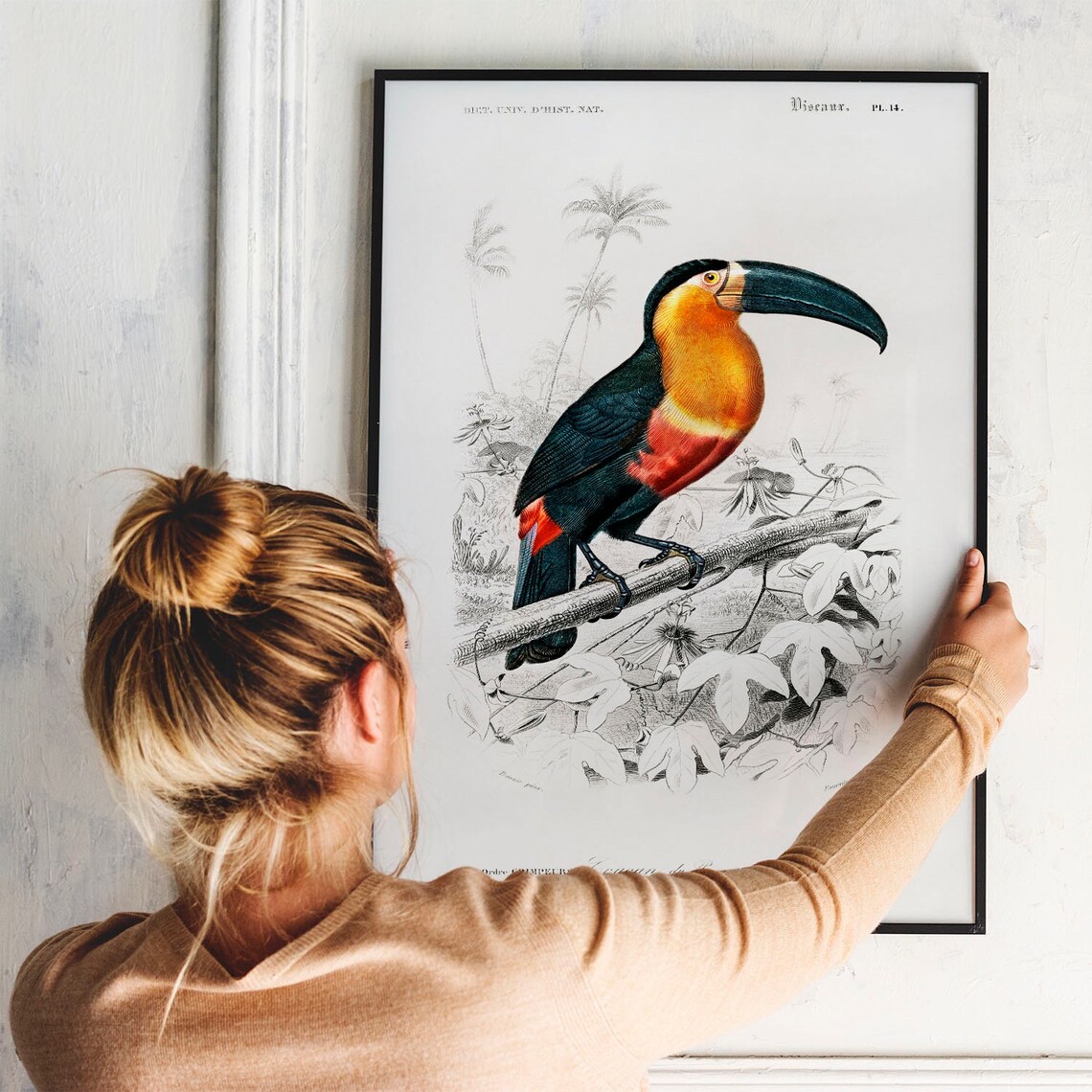 Tucan Vintage Animal Drawing, Antique Wall Art Print - Image 3