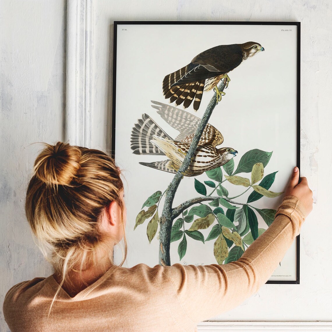 Hawk Antique Bird Painting Vintage Drawing Poster - Image 3