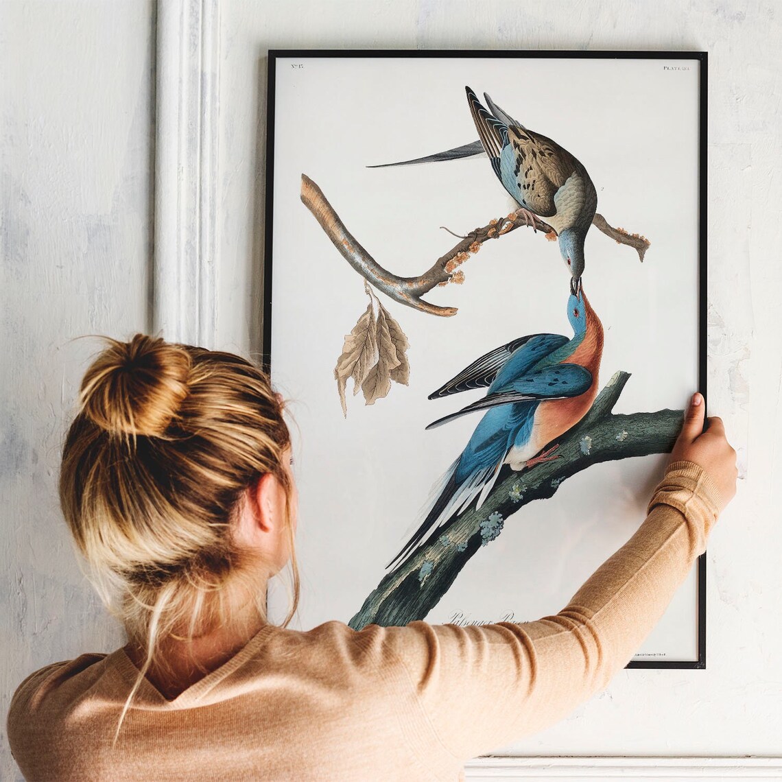 Passenger Pigeon Vintage Bird Illustration Art Print - Image 3