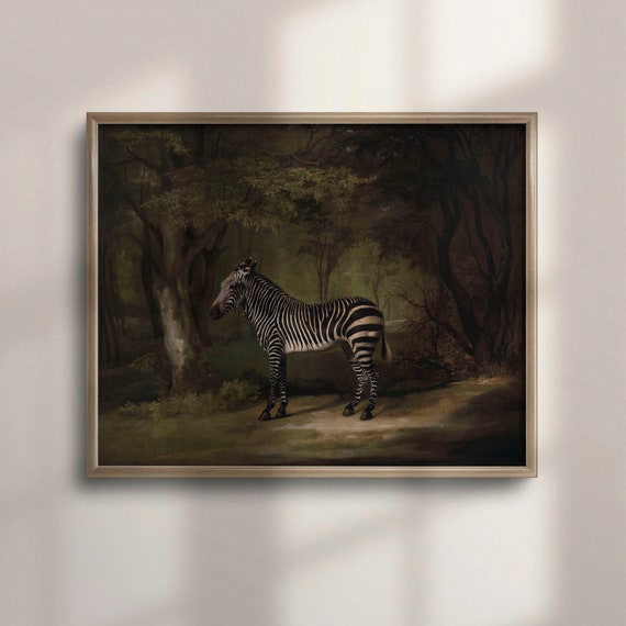 Zebra Art Print, Vintage Safari Wall Decor
