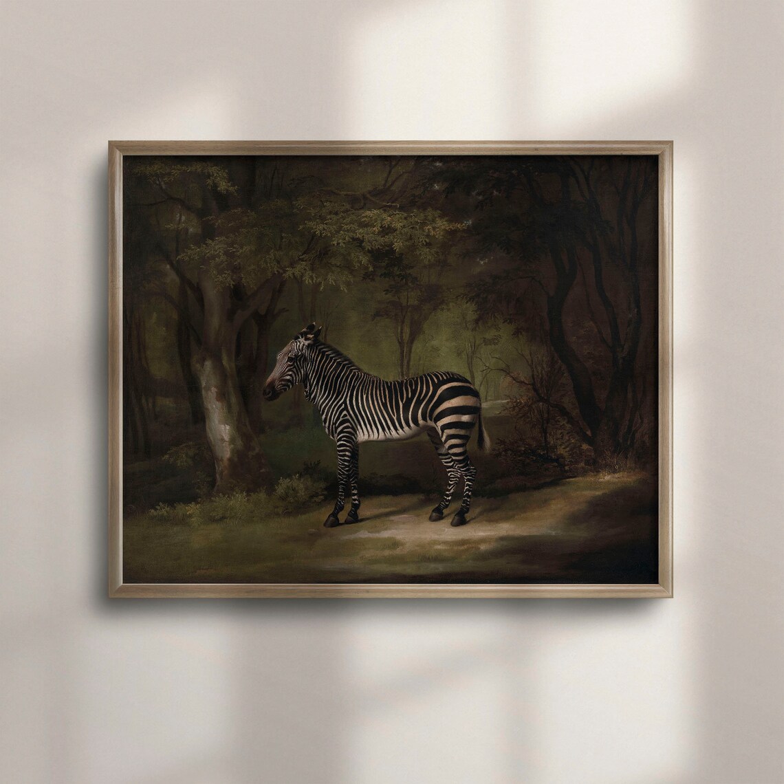 Zebra Art Print, Vintage Safari Wall Decor