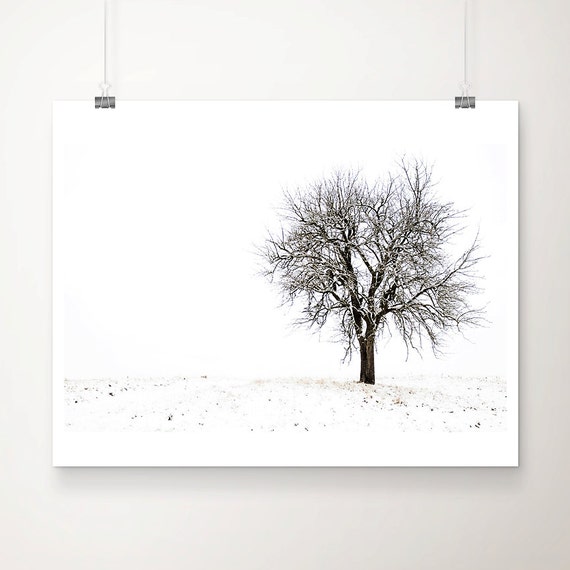 Snow Covered Tree Print Minimalist Winter Landscape Photograph
