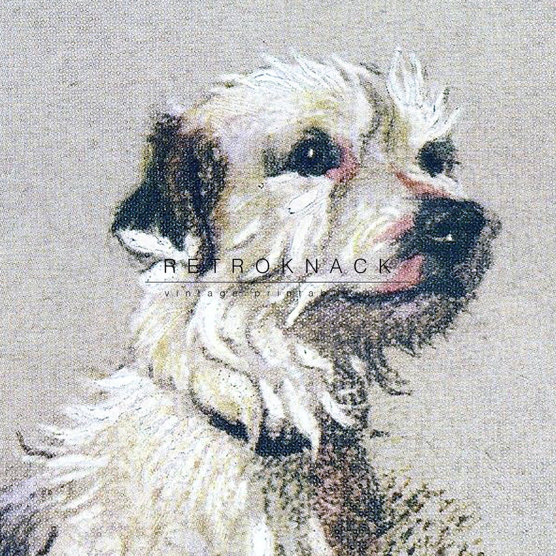 Cecil Aldin Wire Haired Terrier Sitting Pastel Dog Portrait Print - Image 2