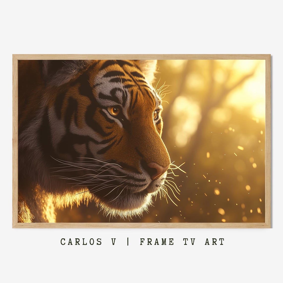 Tiger Face Close Up in Golden Sunset Light Profile View Poster