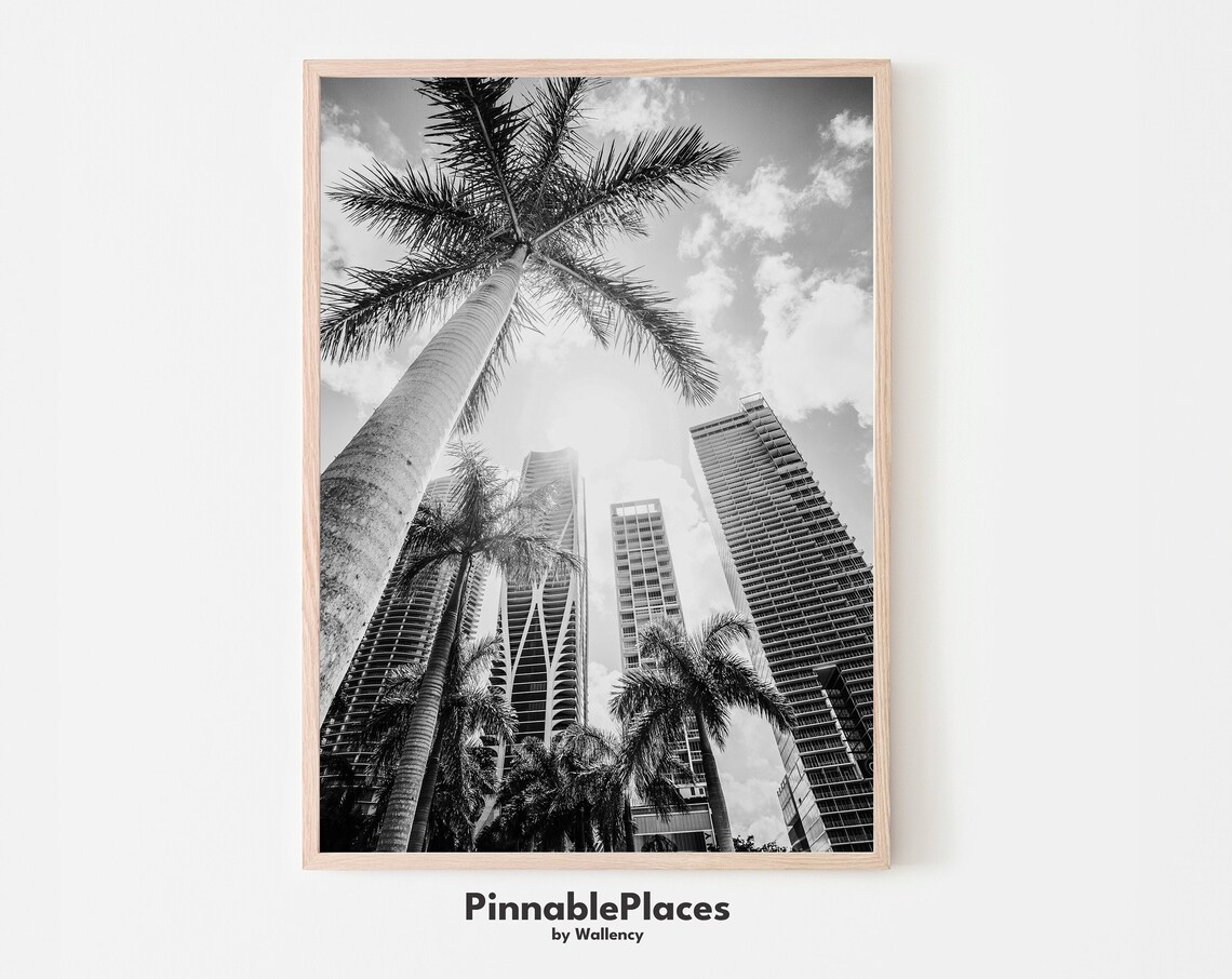 Miami Palm Trees Black And White Photography City Skyline Photo Print