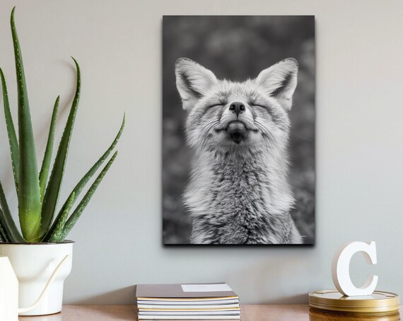 Smiling Fox Animal Wall Art Print