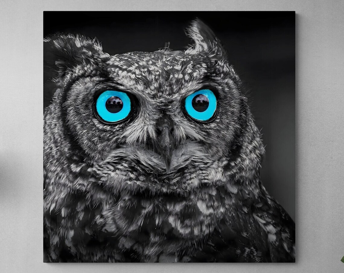 Blue Eyed Owl Black White Close Up Striking Gaze Wildlife Art Poster - Image 3