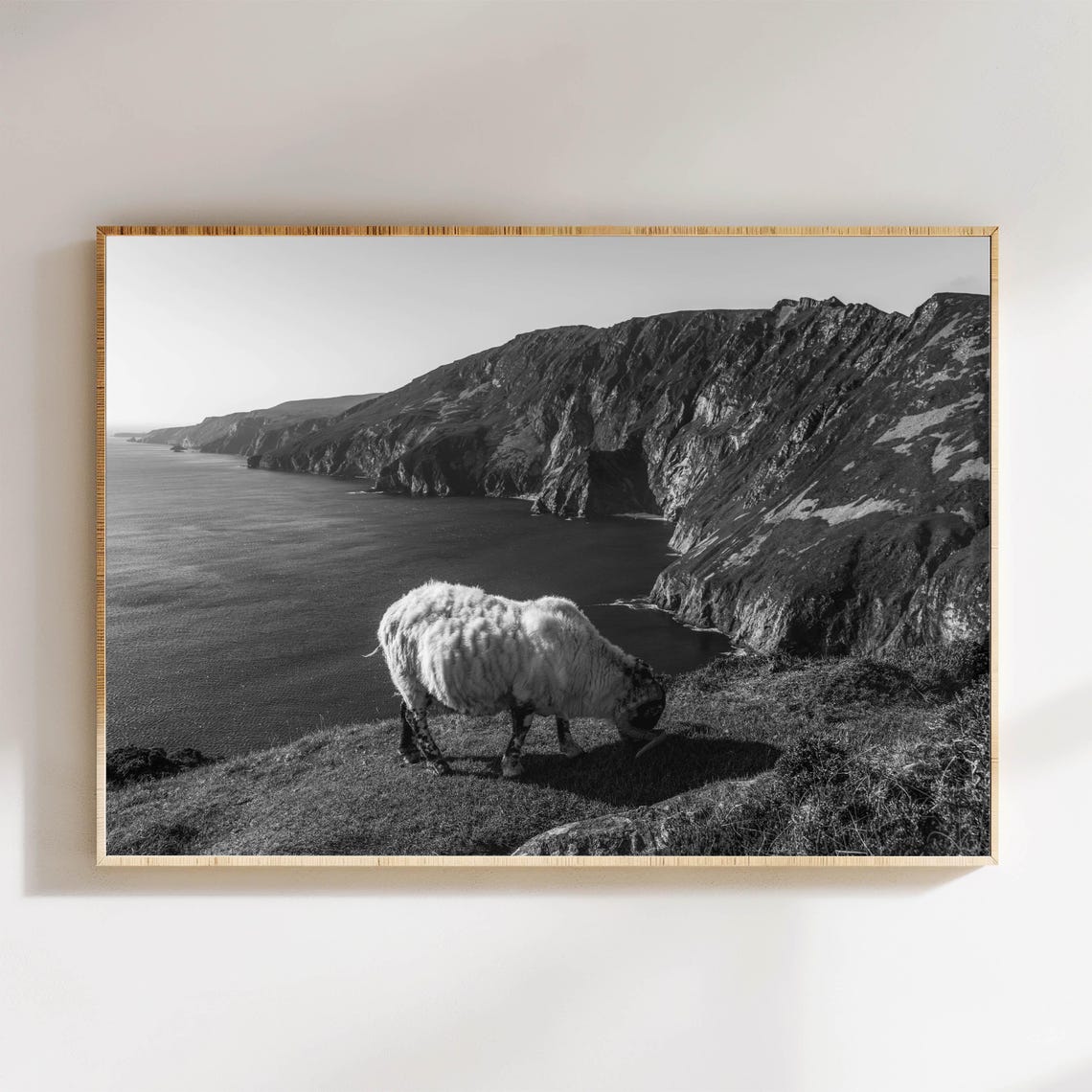 Sheep Grazing on Cliff Edge Above Sea Black White Photo Poster